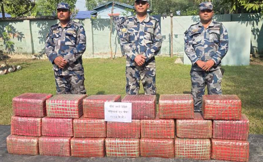 पर्सामा परालको कुन्युमा लुकाइराखेको  २१३ केजी गाँजा बरामद